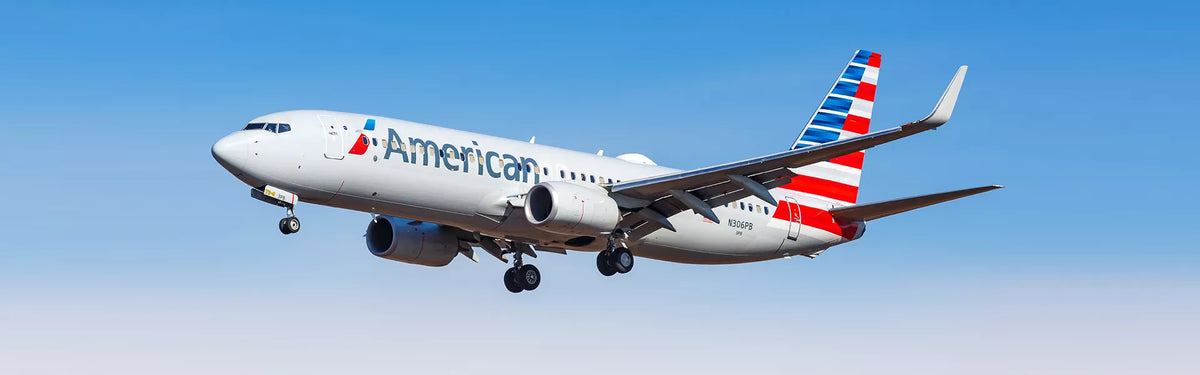 Business Extra®, American Airlines' complimentary loyalty program for businesses