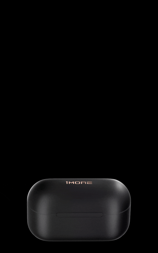 1MORE EVO True Wireless Active Noise Canceling Headphones - 1MORE